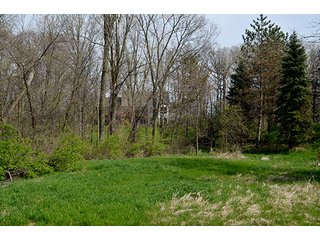 Property photo 109 - REAL ESTATE & PERSONAL PROPERTY AUCTION - 23.5+/- ACRES OFFERED IN 3 TRACTS OR COMBINATIONS IN EAST ALLEN COUNTY